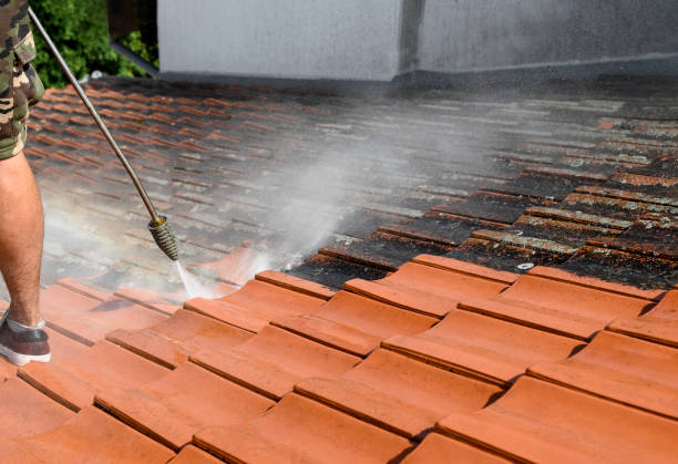 Best Local Pressure Washing Services  in Springdale, NJ