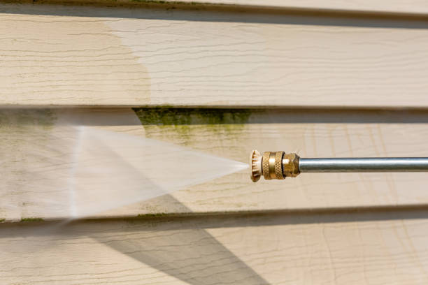 Best Best Pressure Washing Companies  in Springdale, NJ